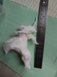 （分類：）位於 。 由 mmgg30 提交（商品編號 1177882789，圖片 1）。簡介： 。