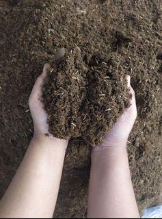 Loam Soil 9-10kg