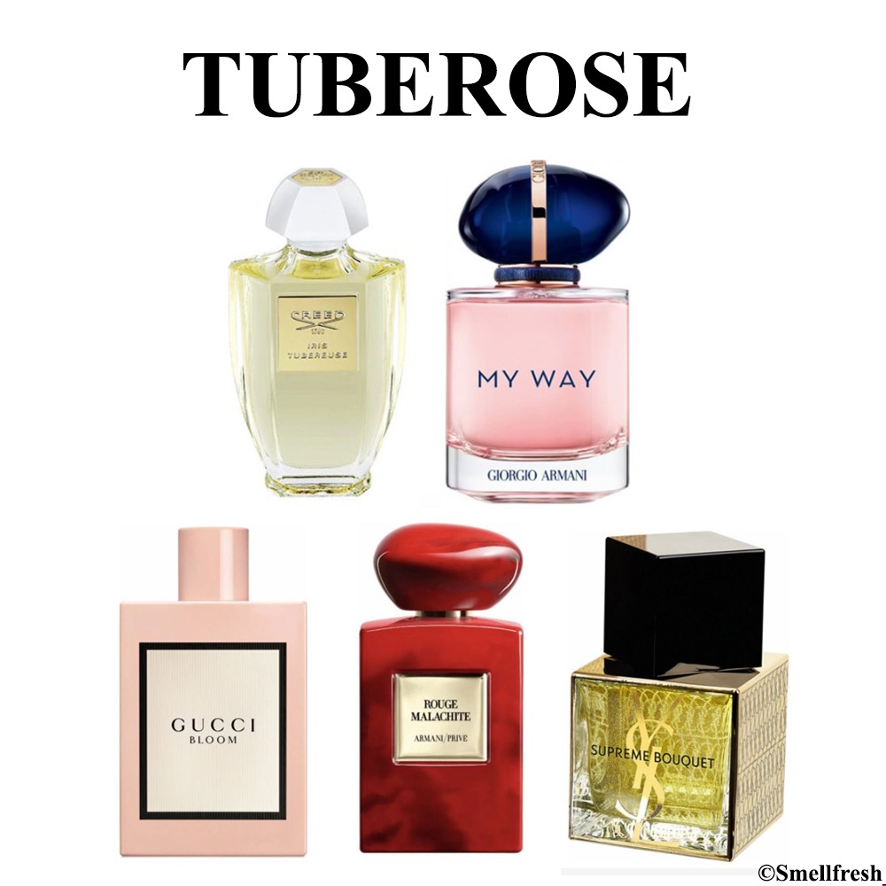 Tuberose Perfume Decants : Creed Iris Tubereuse / Gucci Bloom / Giorgio ...