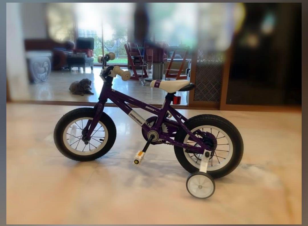 12 inch pedal brakes kids bike, Sports Equipment, Bicycles & Parts