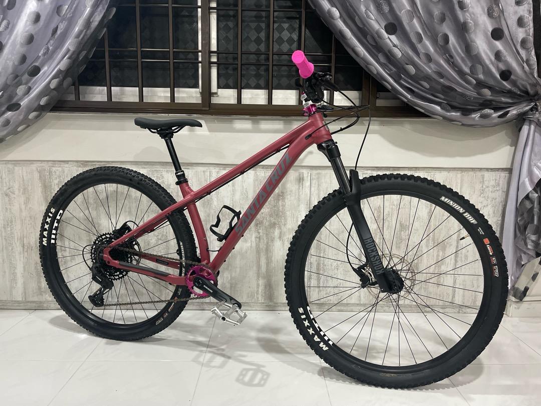 2021 santa hot sale cruz chameleon