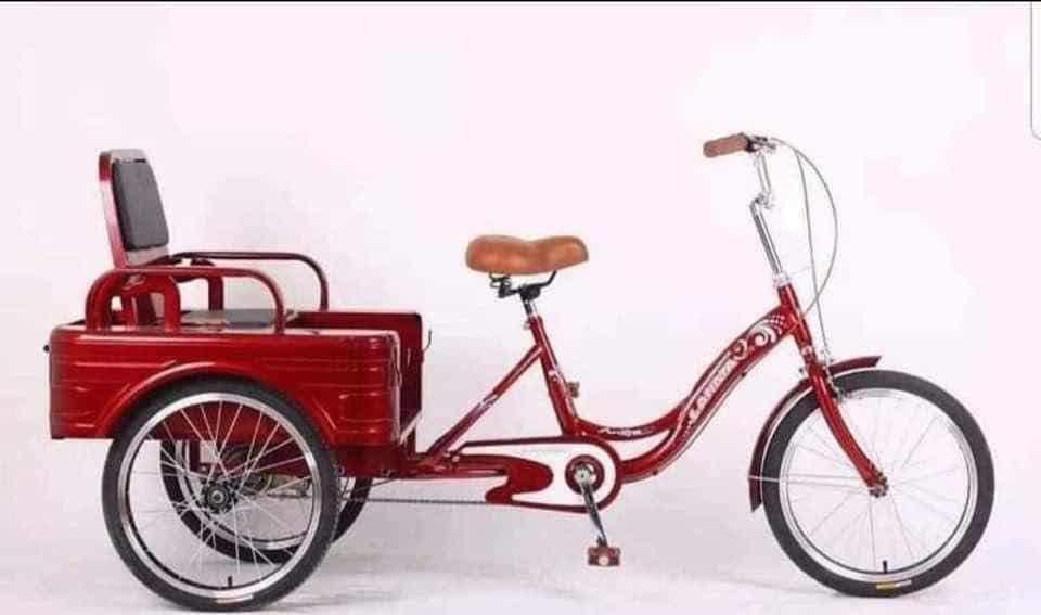 three wheel passenger bike