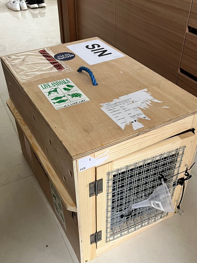 Pet carrier johannesburg on sale
