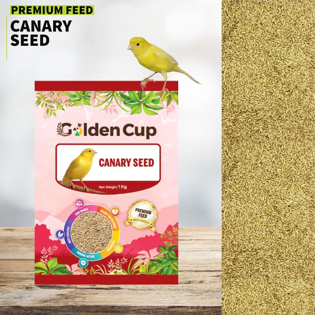 Canary Seed 1kg Bird feeds Golden Cup
