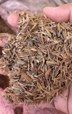 COMPOSTED RICE HULL 1kg by Ivy Rose Garden, Furniture & Home Living ...
