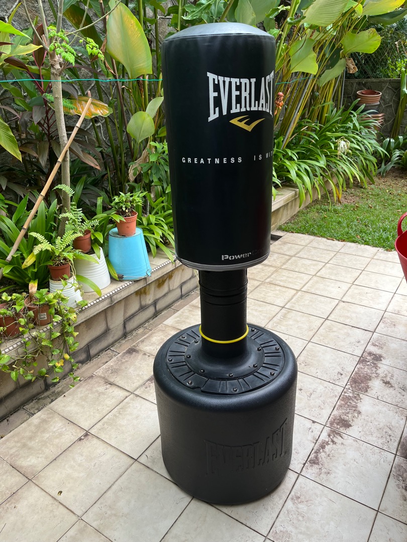 everlast portable punching bag