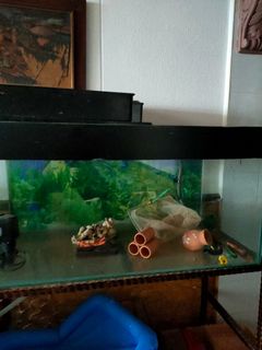 (Category: ) located in . Submitted by themumlife (Listing ID 1178111365, Image 1). Description: .