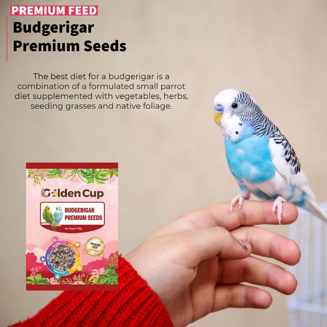 Image showcasing Budgerigar Premium Seeds - 1kg | Budgie BIrd Feeds | Golden Cup, Pet ...