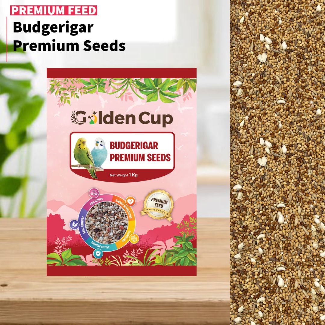 Image showcasing Budgerigar Premium Seeds - 1kg | Budgie BIrd Feeds | Golden Cup, Pet ...