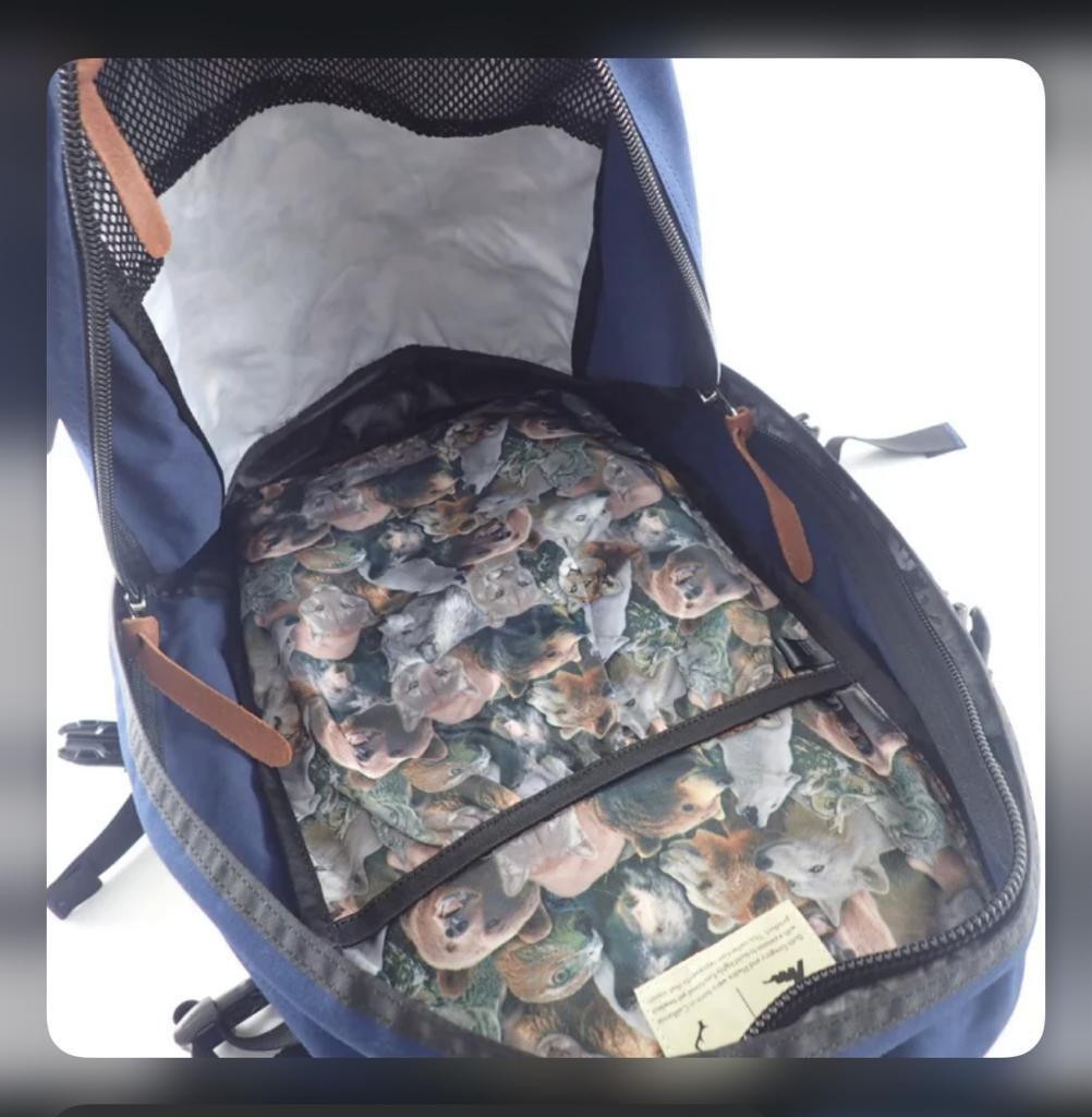 GREGORY Japan x PLADRA Classic ALL DAY 22L Backpack, 男裝, 袋 