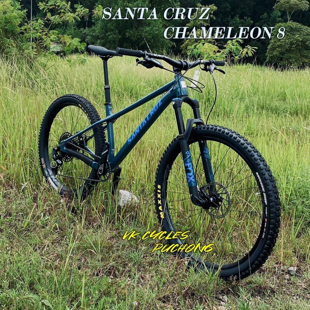 Santa cruz cheap chameleon blue
