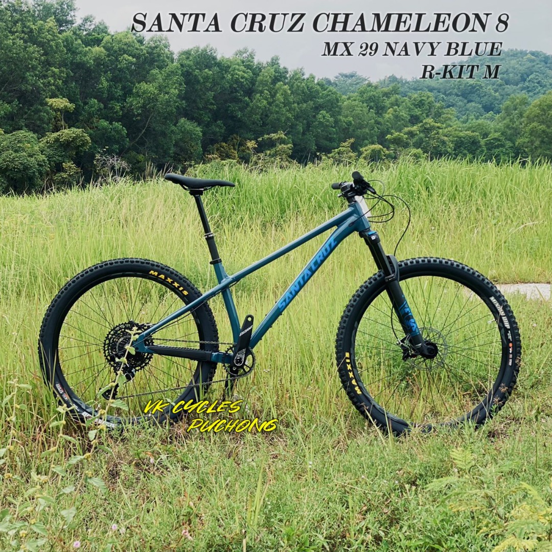 Santa cruz chameleon blue deals book