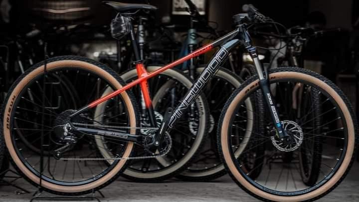 PINEWOOD TRIDENT FLUX 2.0 29er 1x9