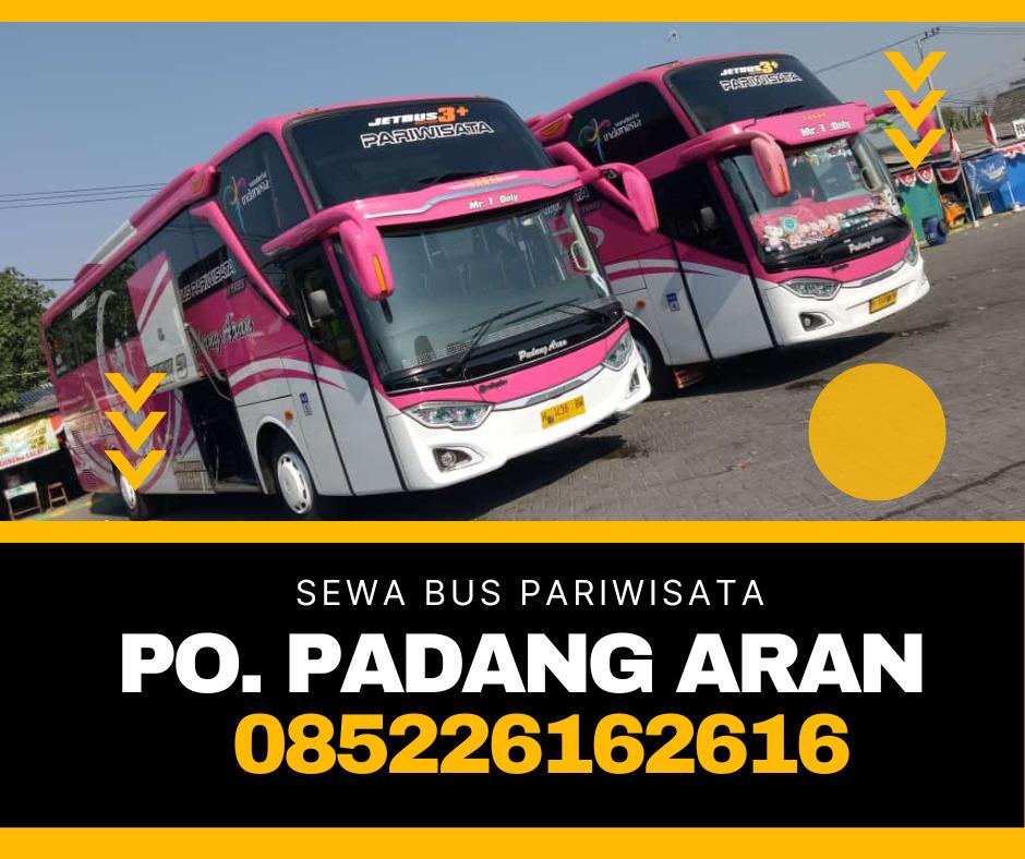 Mencari Petualangan di Balik Kemudi: Panduan Lengkap Lowongan Kerja Bus Pariwisata Semarang