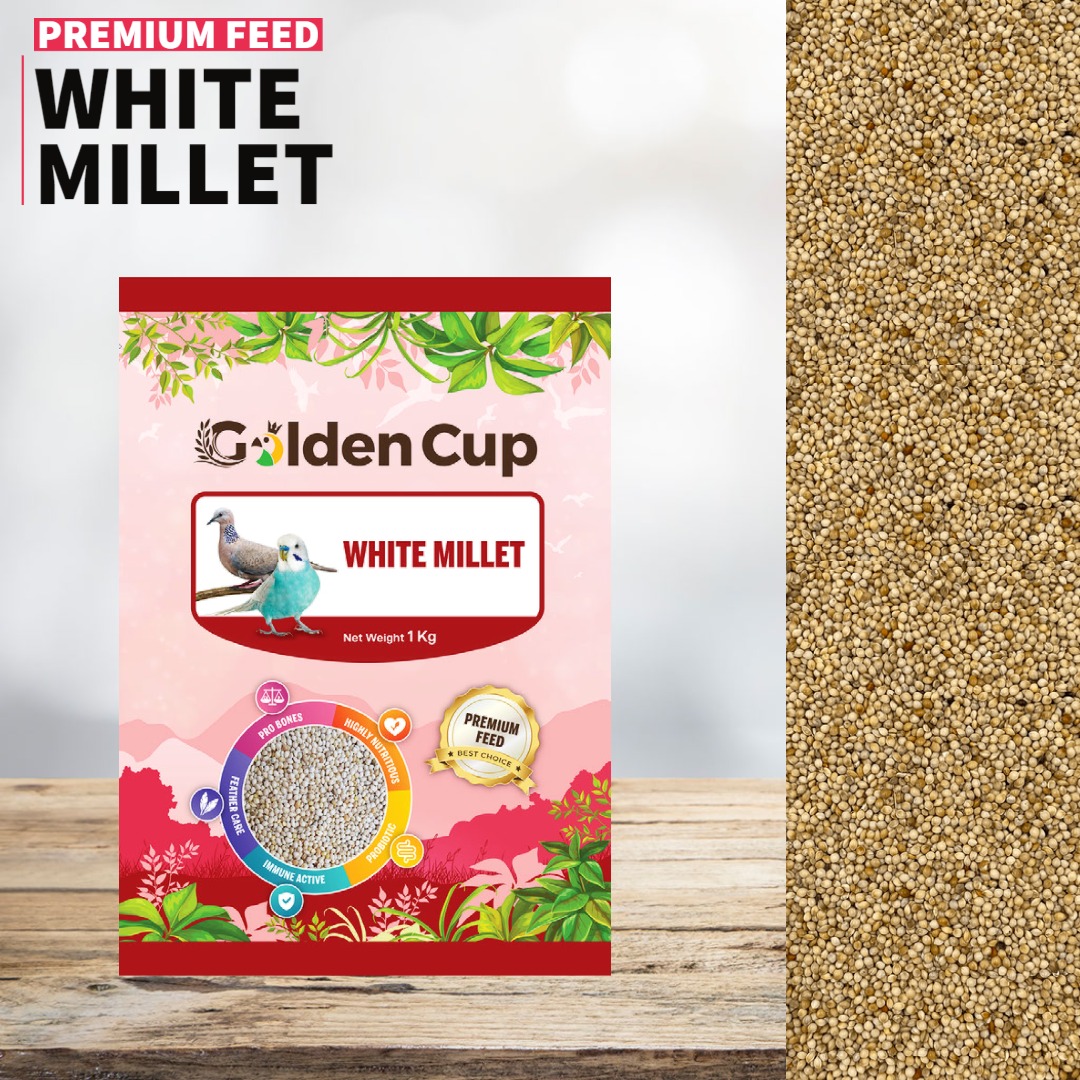 White Millet Bird Feeds Golden Cup 1KG, Pet Supplies, Pet Food on