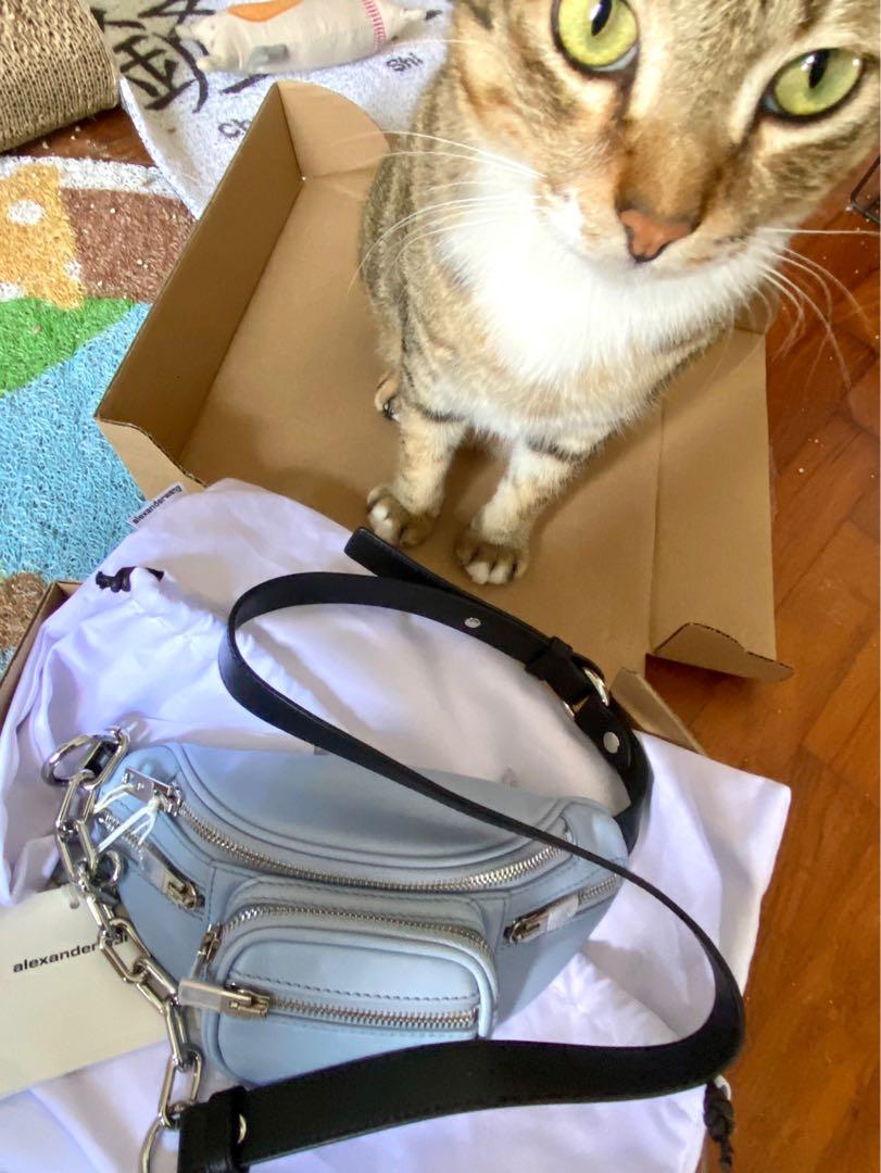 Alexander wang sales fanny pack mini