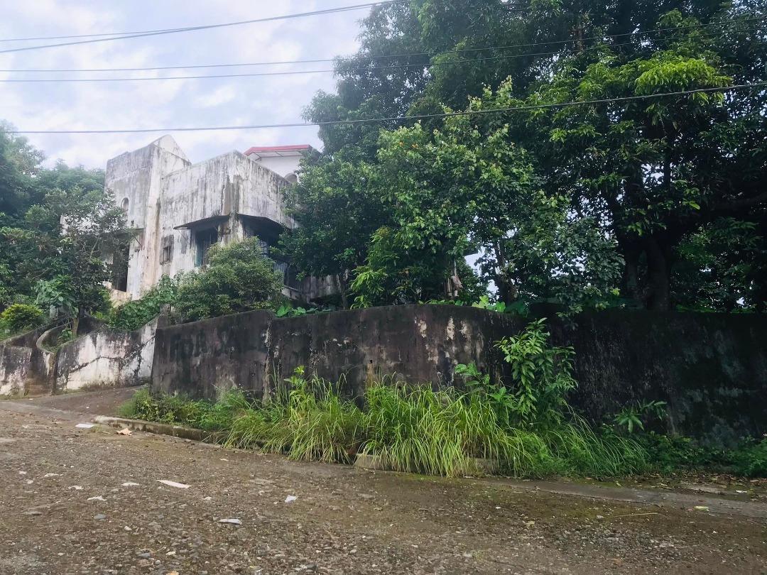 CITY OVERLOOK HOUSE AND LOT IN MONTEREY HILLS SAN MATEO RIZAL, Property