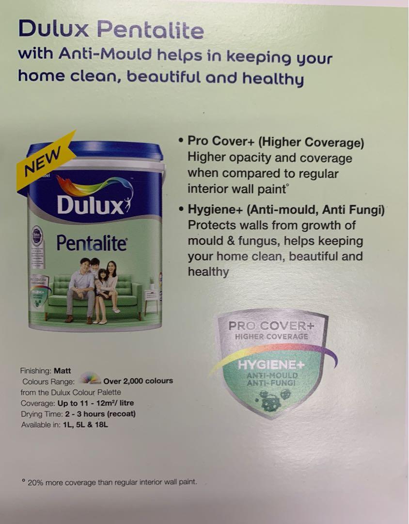Dulux Paint, Furniture & Home Living, Home Improvement & Organisation