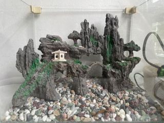 (Category: ) located in . Submitted by JnaDsu (Listing ID 1178315459, Image 1). Description: .