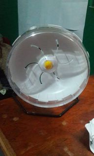 (Category: ) located in . Submitted by gabriel0910 (Listing ID 1178269491, Image 1). Description: .