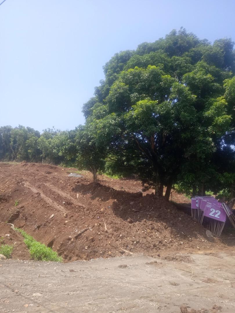 New Subdivision ALTA MONTE PILILLA Rizal Lots For Sale, Property, For