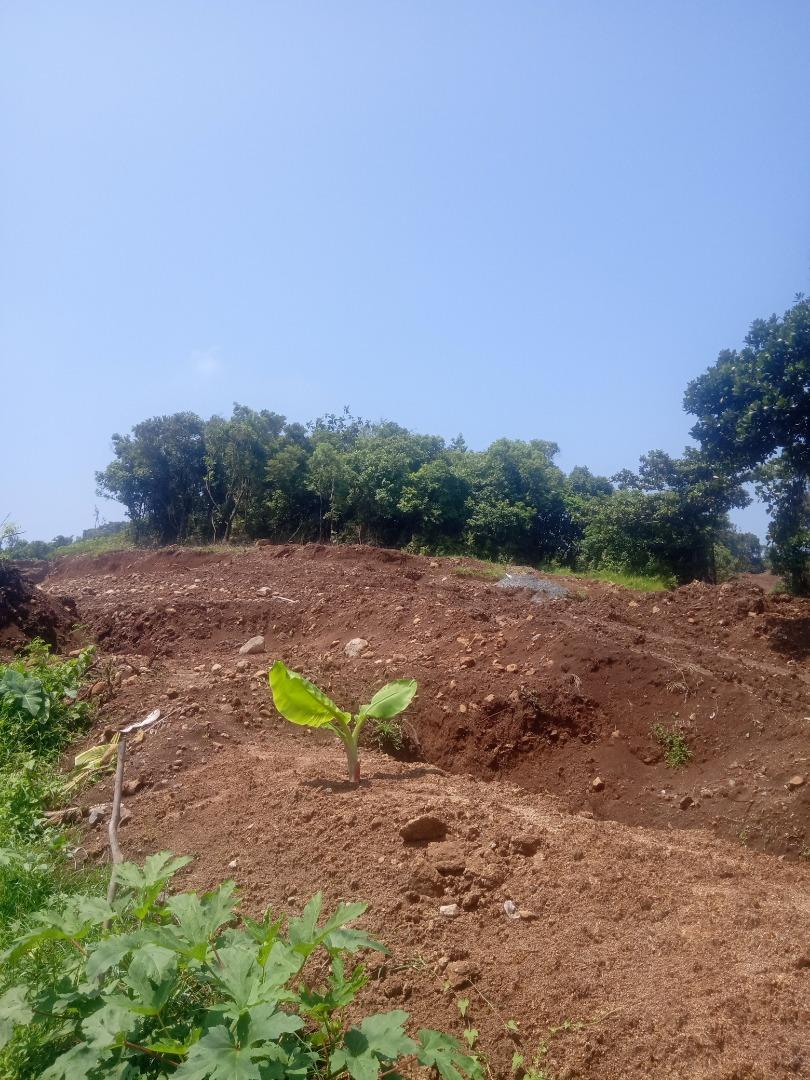 New Subdivision ALTA MONTE PILILLA Rizal Lots For Sale, Property, For