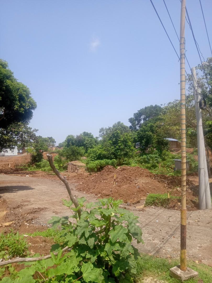 New Subdivision ALTA MONTE PILILLA Rizal Lots For Sale, Property, For