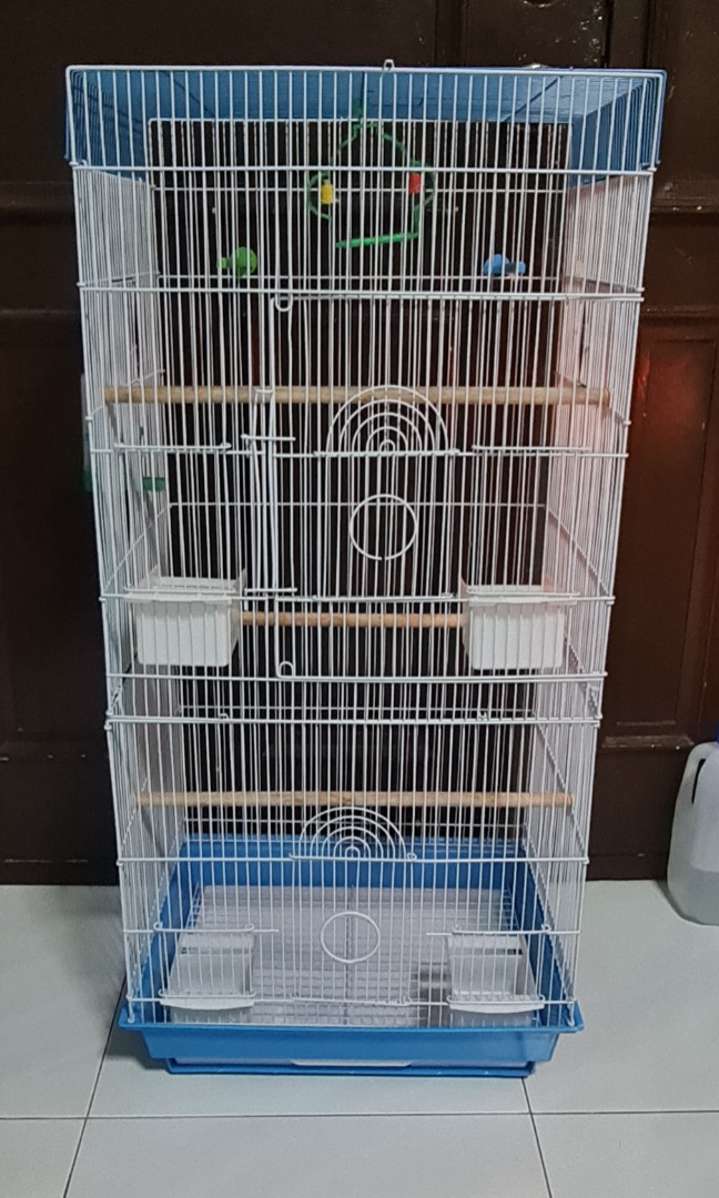 large parrot cage used