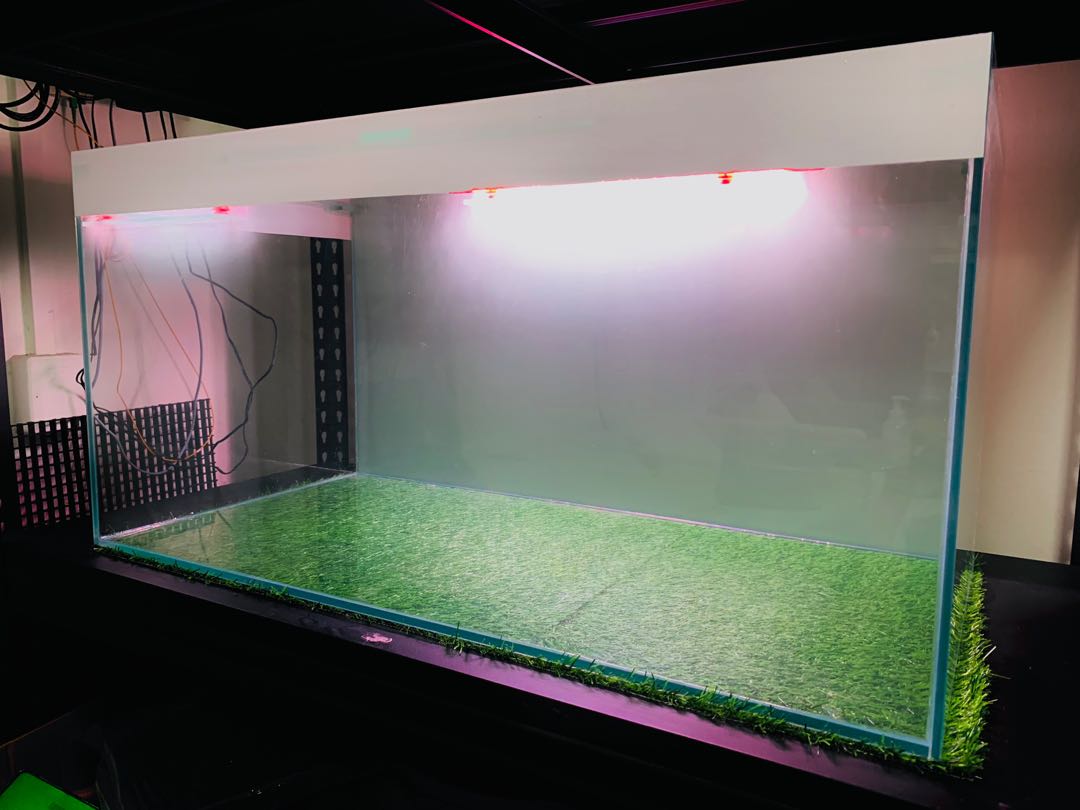 Used 3ft fish tank, Pet Supplies, Homes Other Pet Accessories on Carousell Used 3ft fish tank, Pet Supplies, Homes Other Pet Accessories on Carousell