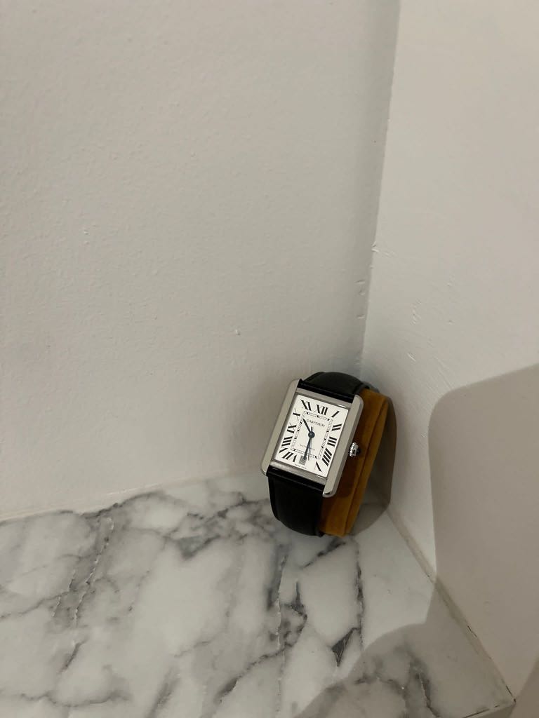 Cartier tank solo small on wrist sale