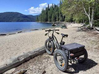 Electric adult tricycle