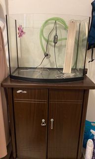 (Category: ) located in . Submitted by mikeera (Listing ID 1178490264, Image 1). Description: .
