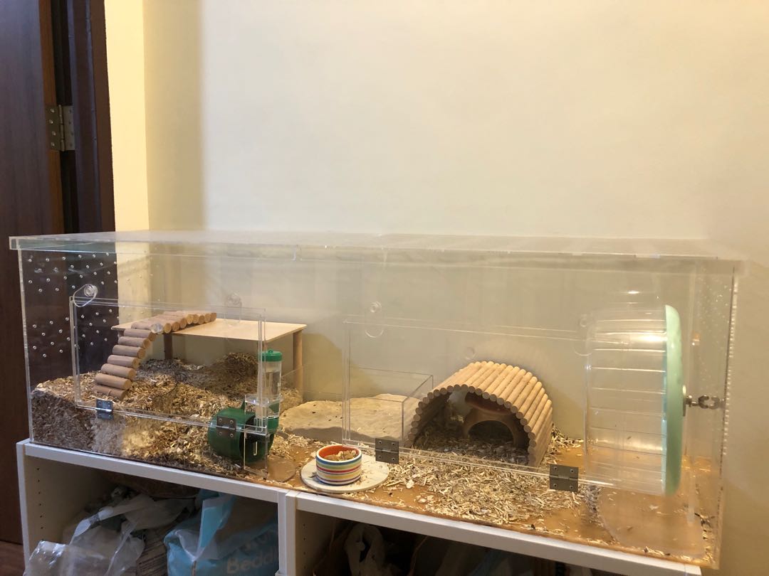 Diy acrylic cheap hamster cage