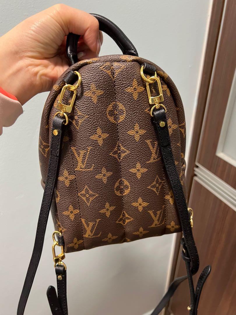 🔥BNIB🔥LV Palm Spring Mini Backpack Monogram, Luxury, Bags & Wallets on  Carousell