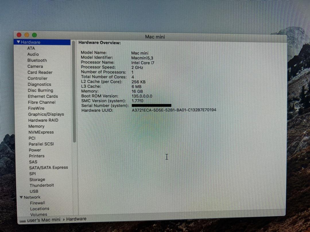 Mac mini Server (Mid 2011) 16Gb / 256Gb SSD / 750Gb HDD, 電腦