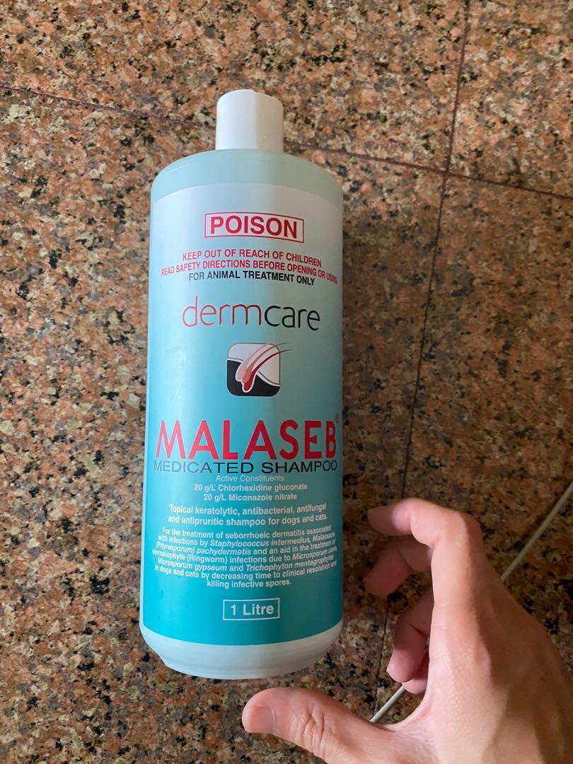 malaseb shampoo for cats