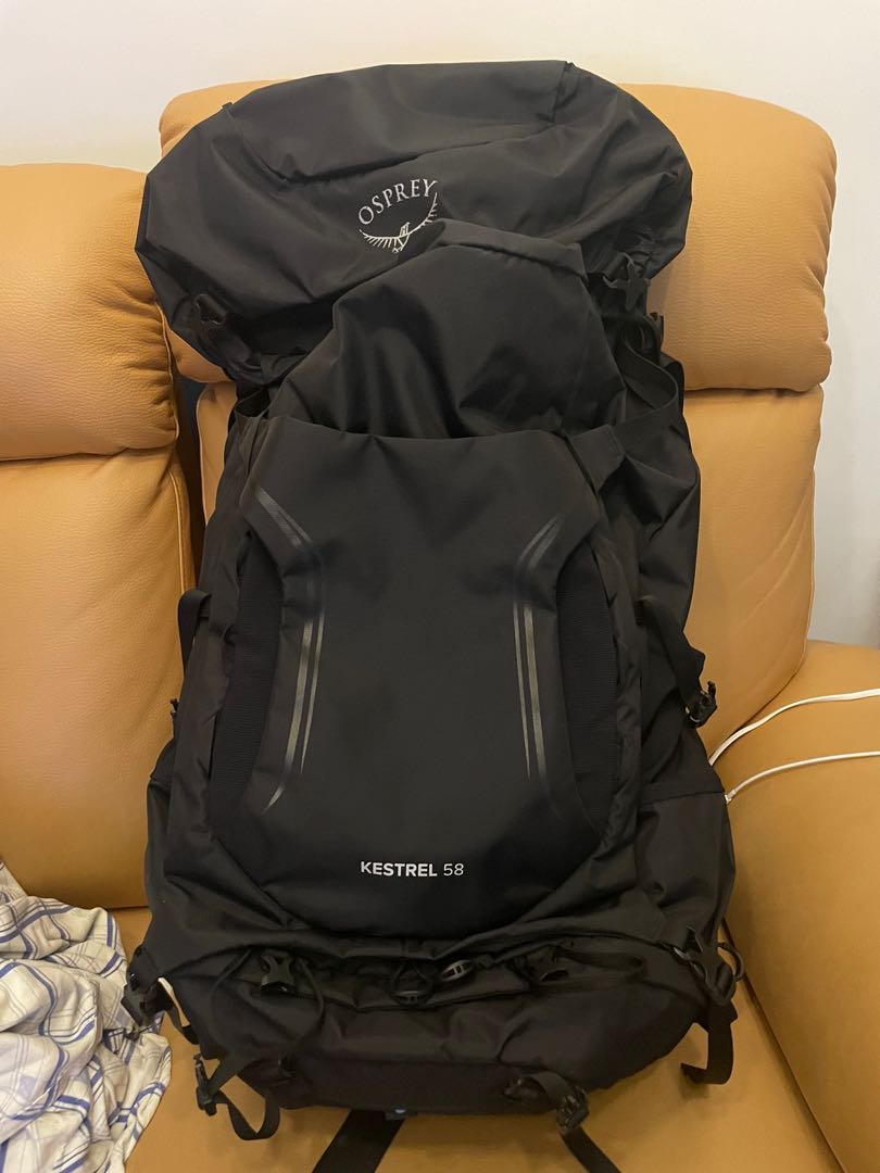 Osprey kestrel 58 picholine green clearance