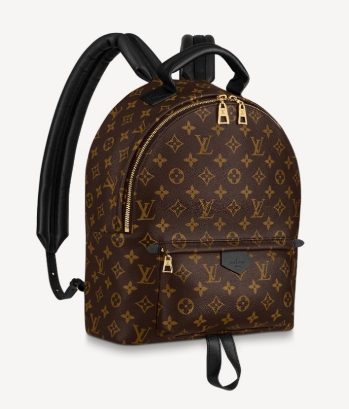 LV PALM SPRINGS Mini backpack, Women's Fashion, Bags & Wallets, Backpacks  on Carousell