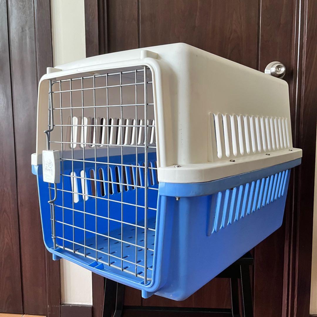 Travel cage for outlet dog