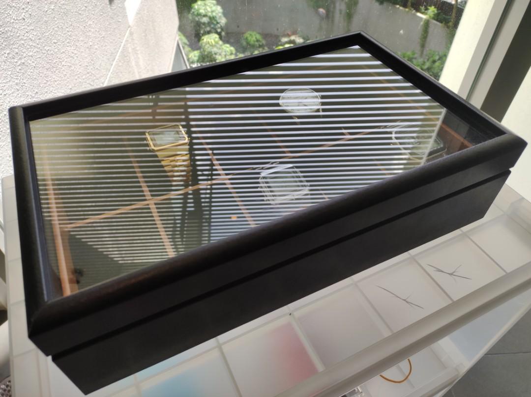 URBURN 10 WATCH COMPARTMENTS WITH HINGED GLASS LID, Men's Fashion