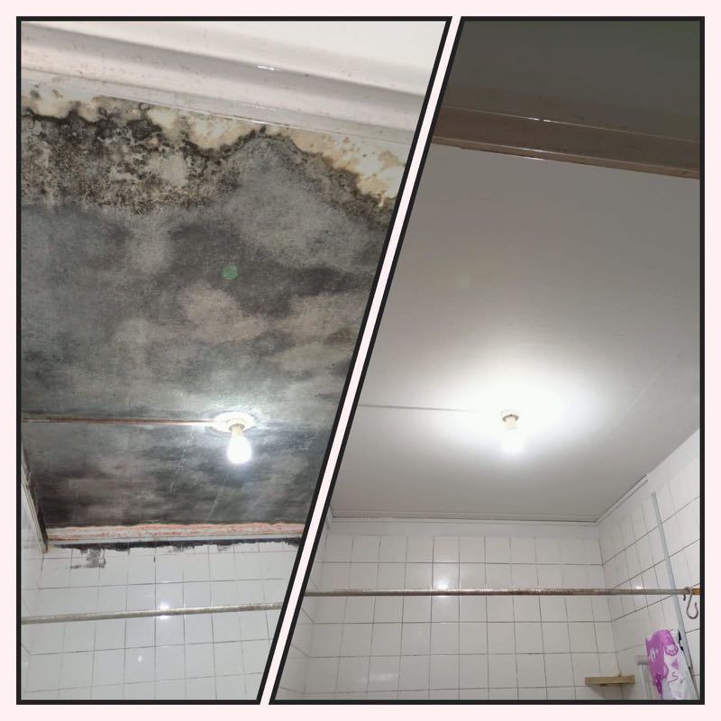(Category: ) located in . Submitted by erstapac (Listing ID 287191584, Image 1). Description: .
