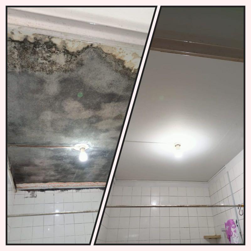 011 MOULD REMOVAL AntiMould Wall & Ceiling Protective Coating
