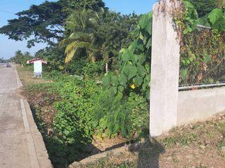 6.2hectares lot along national highway clean title in Narra Palawan good for business area