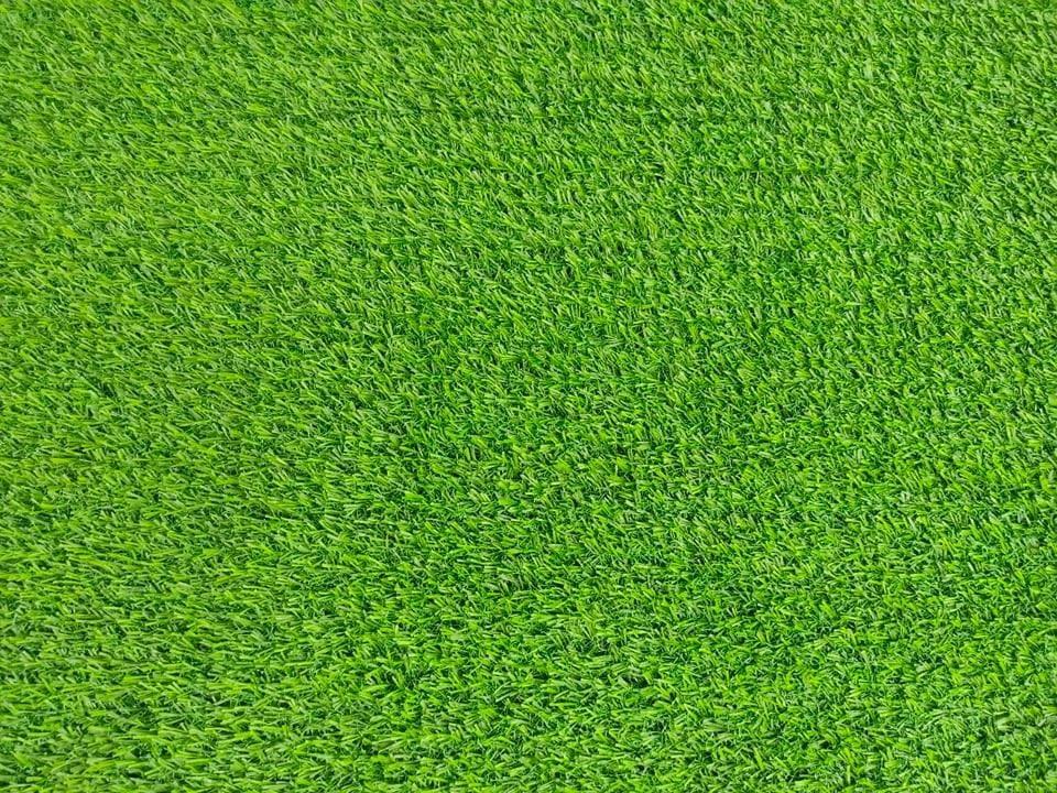 Artificial Grass Turf 2M X 1M Indoor Outdoor Pet Faux Synthetic Grass