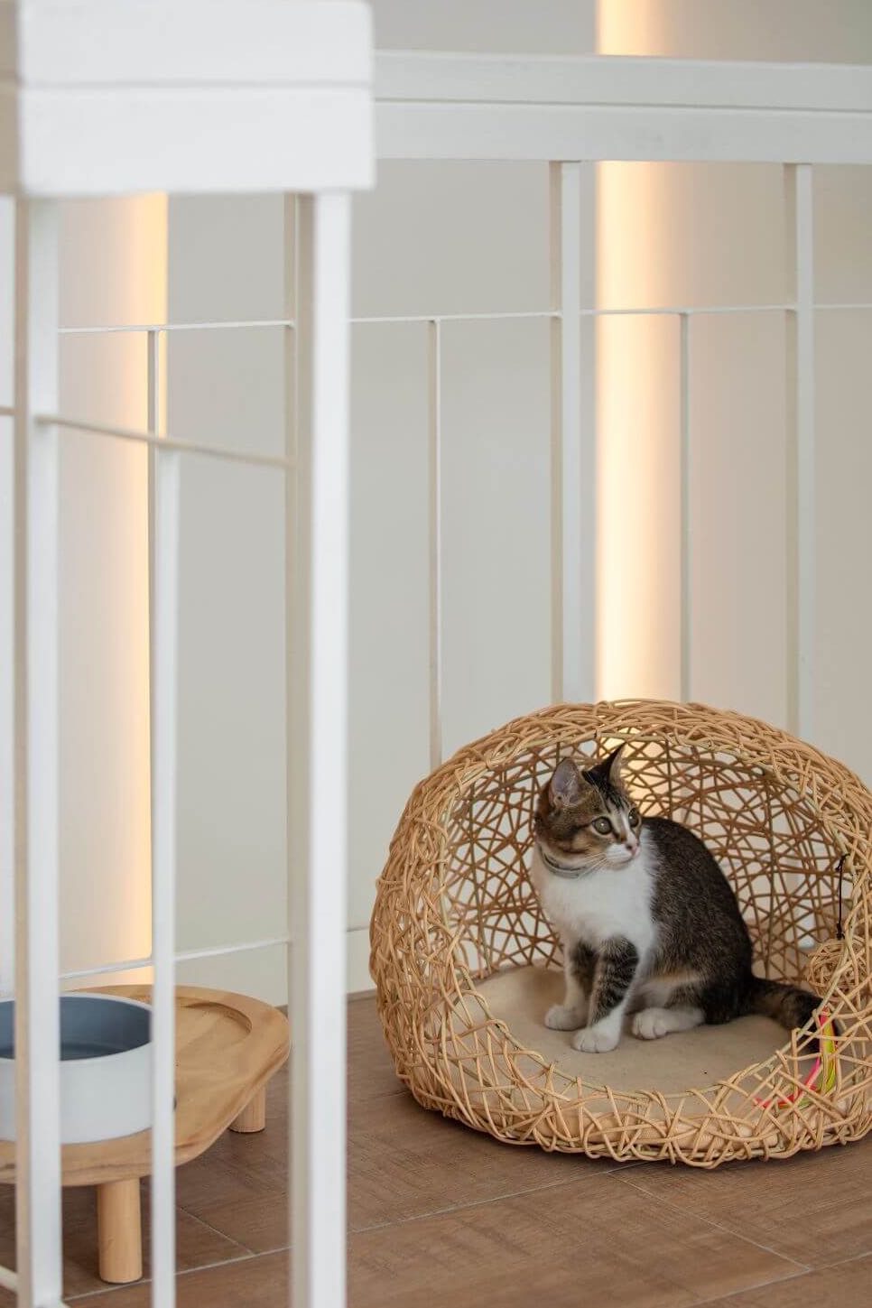 Cat bed basket, Pet Supplies, Homes & Other Pet Accessories on Carousell