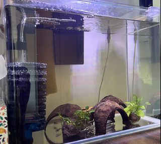 (Category: ) located in . Submitted by joe29 (Listing ID 1178778617, Image 1). Description: .