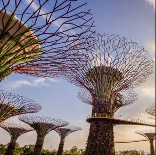 (Category: ) located in . Submitted by sharifffah (Listing ID 1178673952, Image 1). Description: .