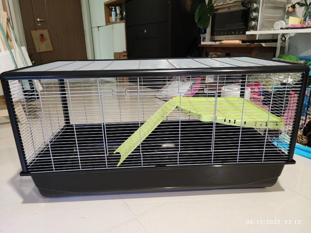 hamster plaza knock down