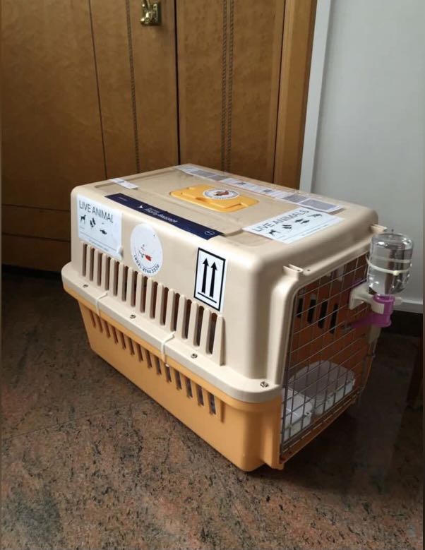 IATA Crate, Pet Supplies, Homes & Other Pet Accessories on Carousell