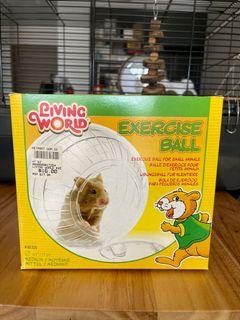Living World Exercise Ball for Small Animals